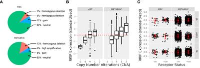 Manipulating RKIP reverses the metastatic potential of breast cancer cells